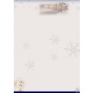 Carta de Año Nuevo